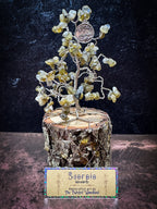 Zodiac Wire Tree Sculpture