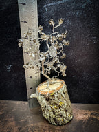 Zodiac Wire Tree Sculpture