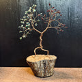 Emerald and Garnet Couple’s Anniversary Custom Wedding Centerpiece Birthstone Wire Tree Sculpture