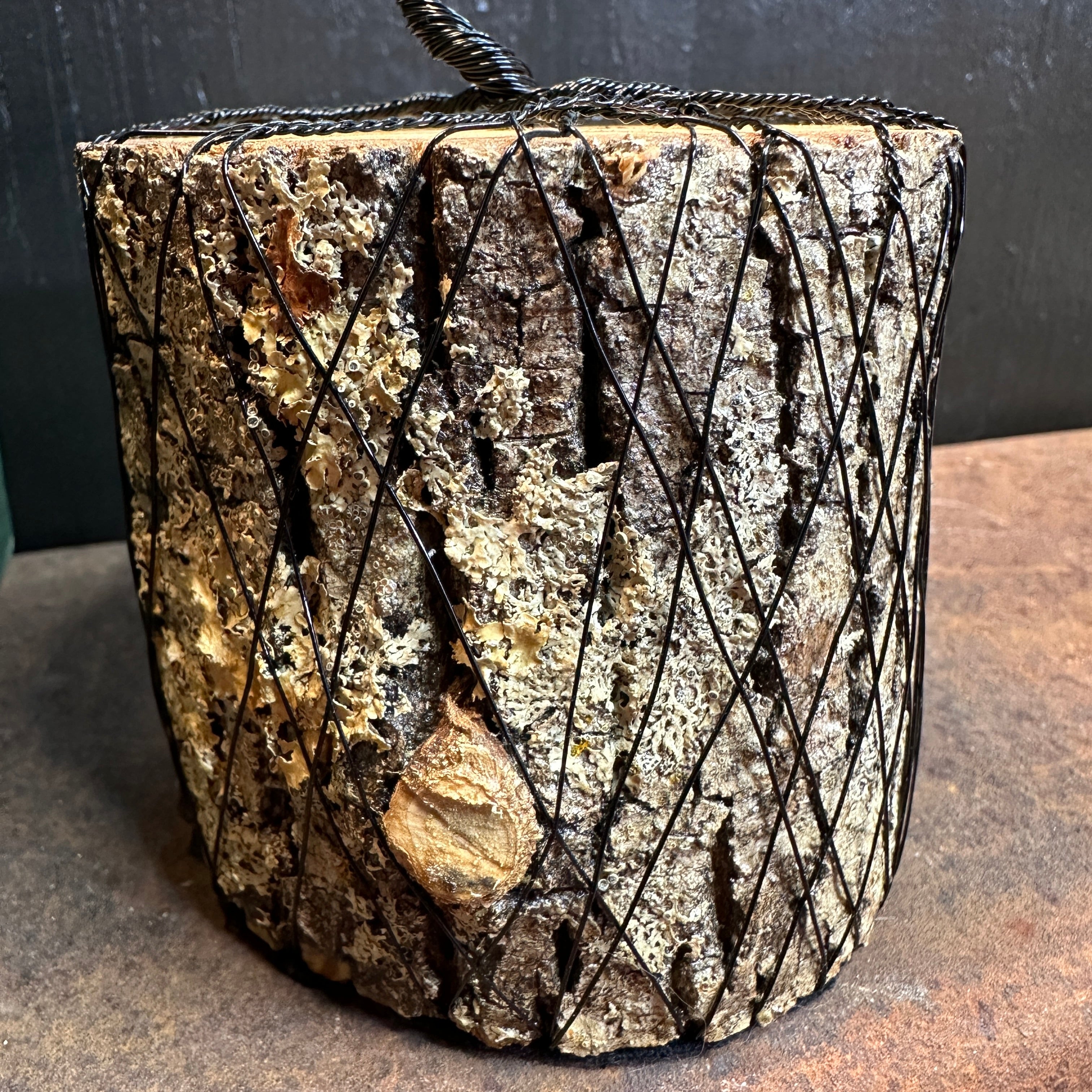 Rainbow Moonstone Wire Tree Sculpture