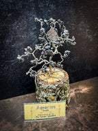 Zodiac Wire Tree Sculpture