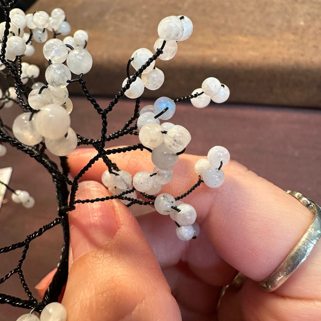 Rainbow Moonstone Wire Tree Sculpture