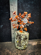 Zodiac Wire Tree Sculpture