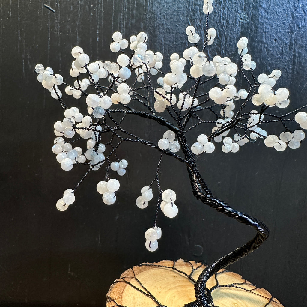 Rainbow Moonstone Wire Tree Sculpture