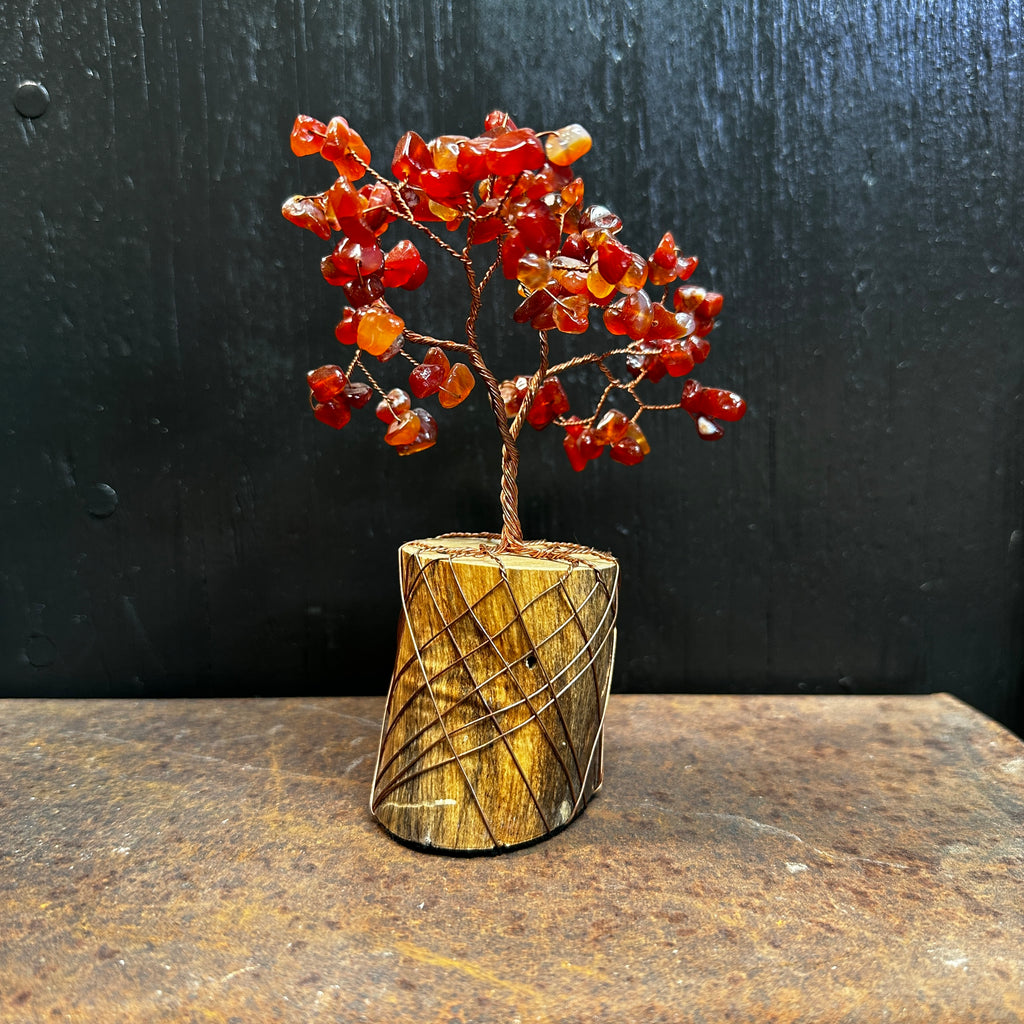 Orange Carnelian Wire Tree