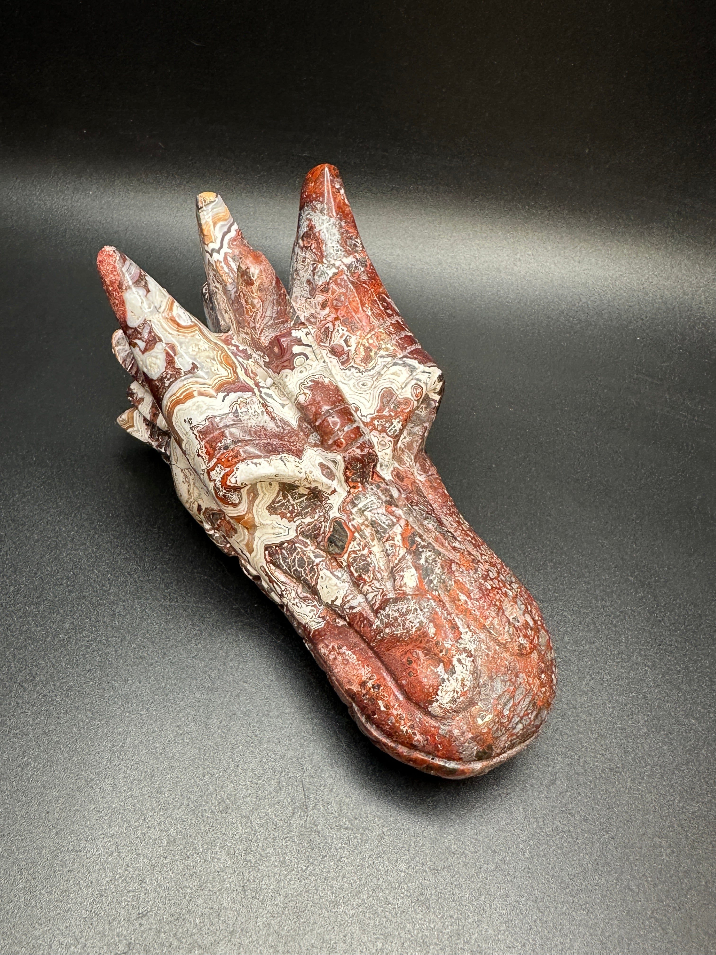 Mexican crazy lace agate dragon head