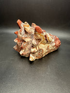 Mexican crazy lace agate dragon head