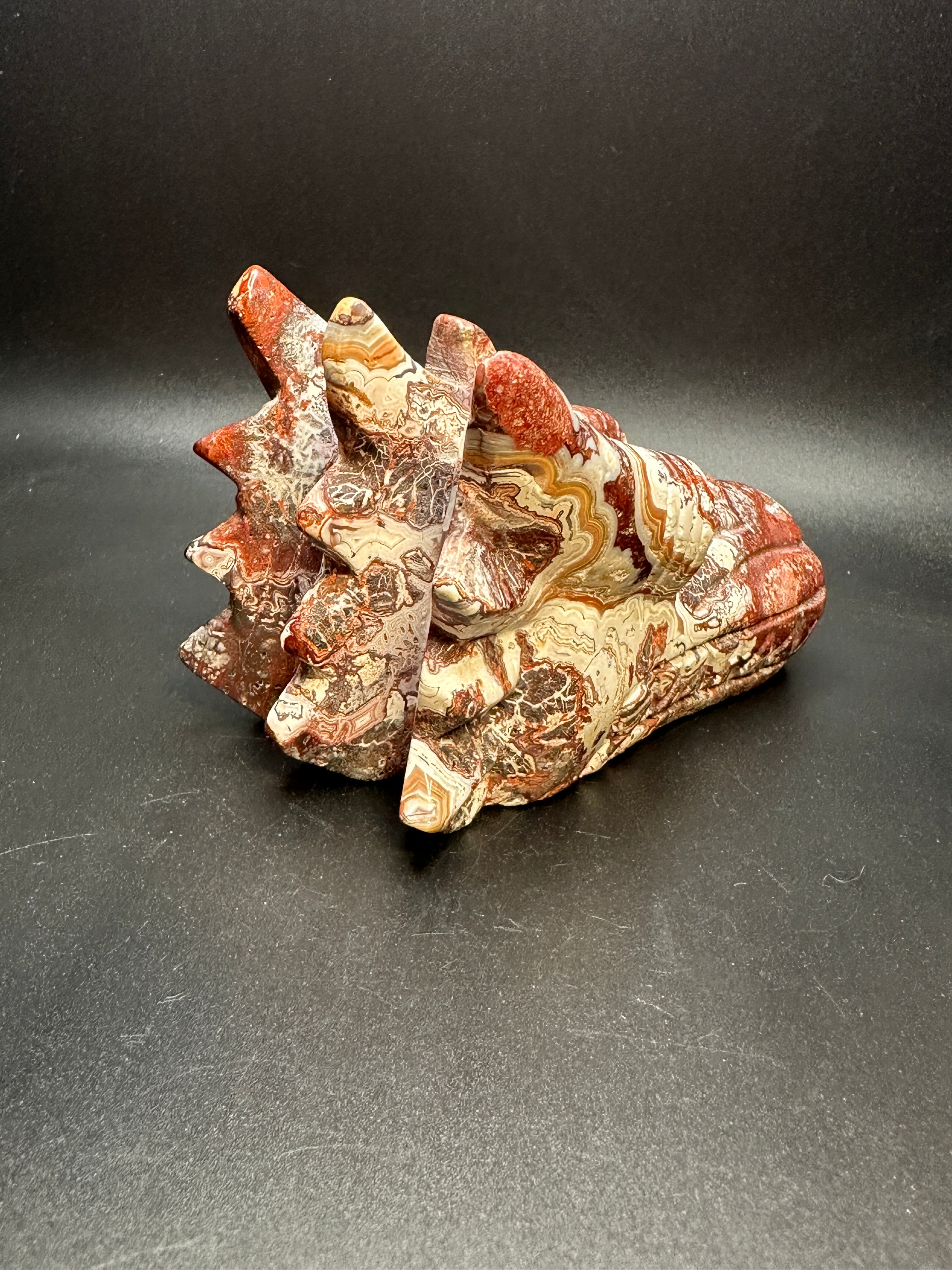Mexican crazy lace agate dragon head