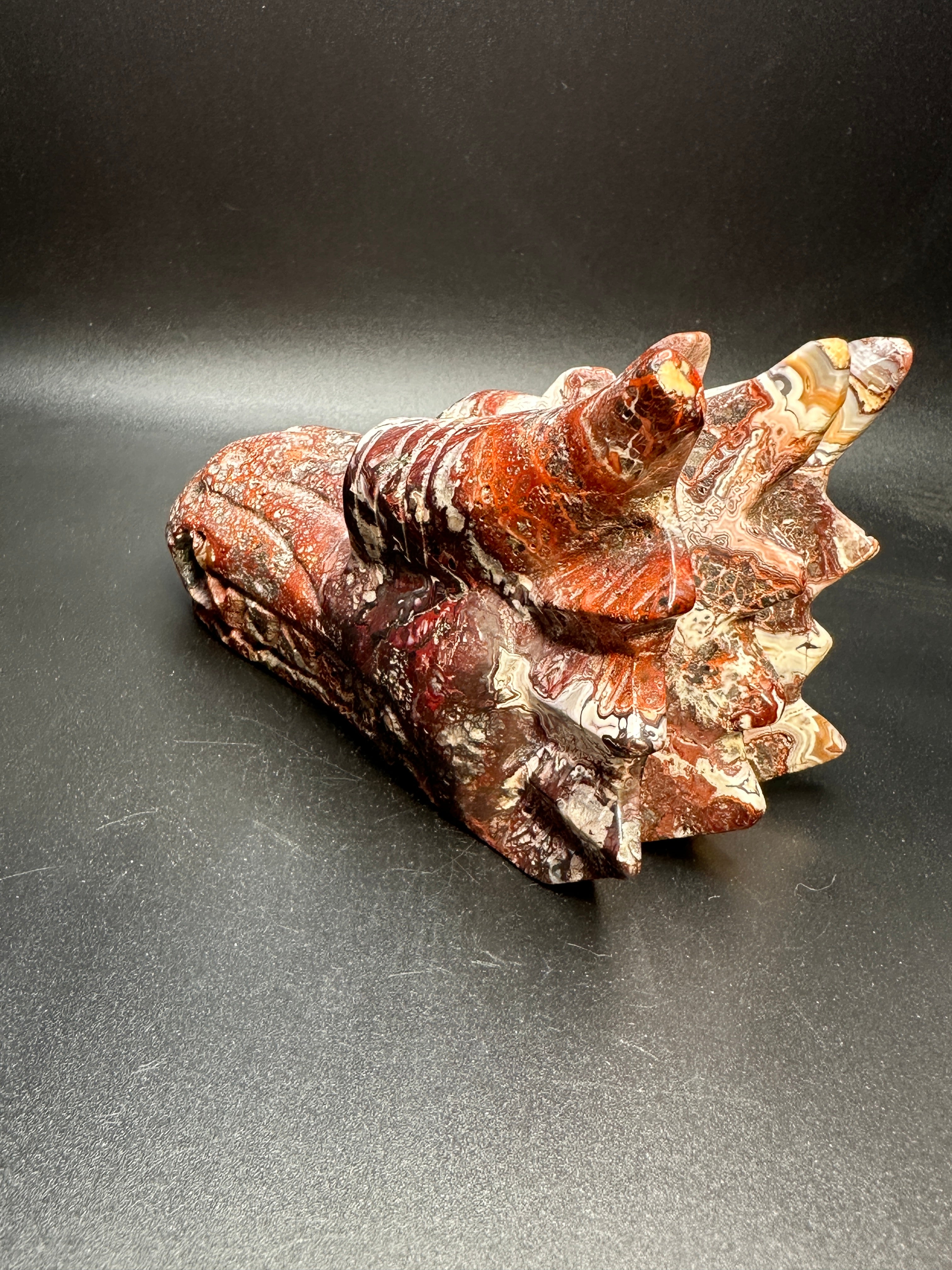 Mexican crazy lace agate dragon head