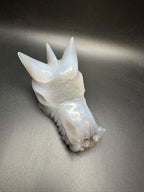 Druzy agate dragon head