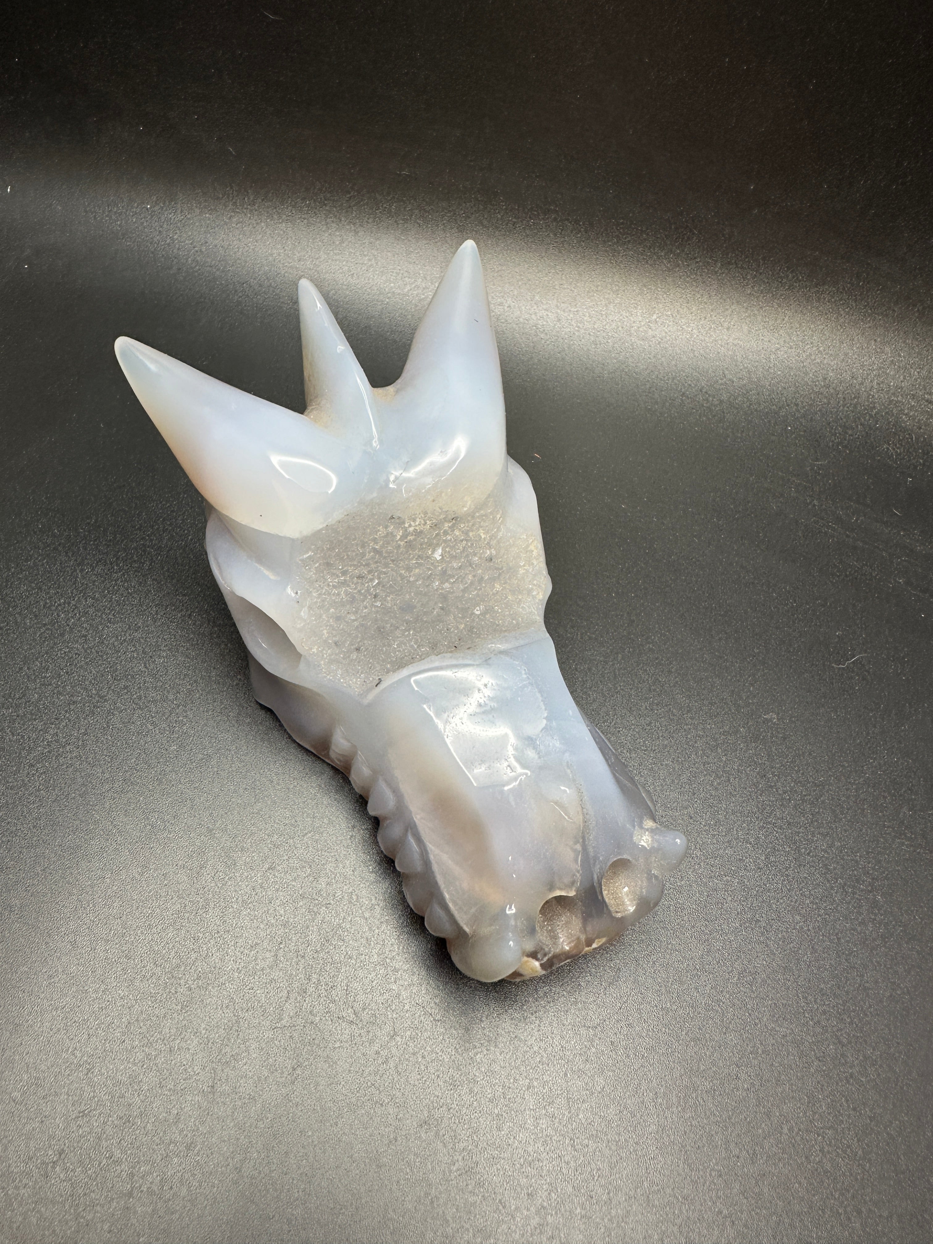 Druzy agate dragon head