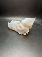 Druzy agate dragon head