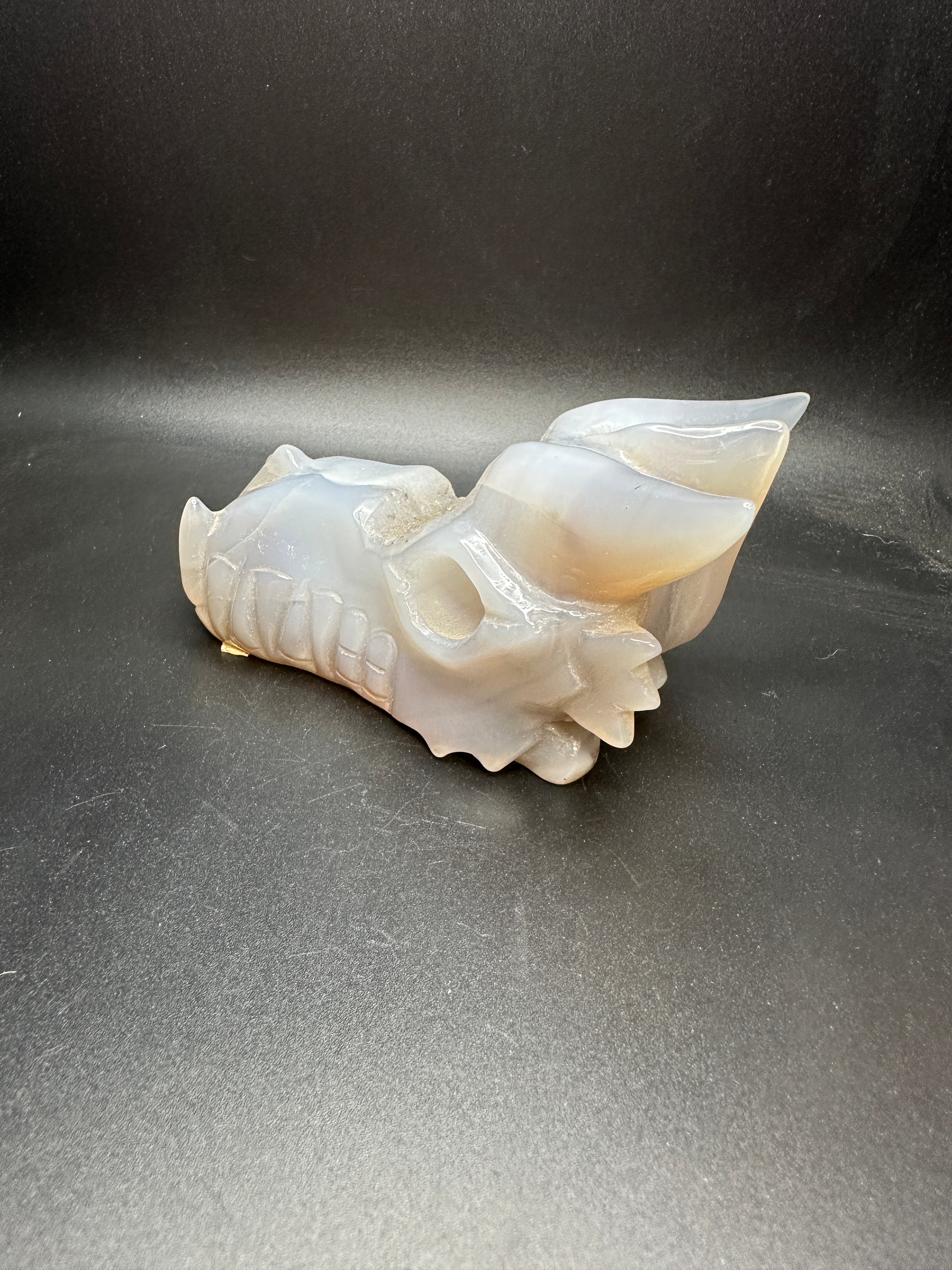 Druzy agate dragon head