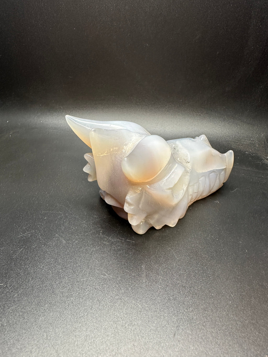 Druzy agate dragon head