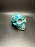 Blue apitite skull