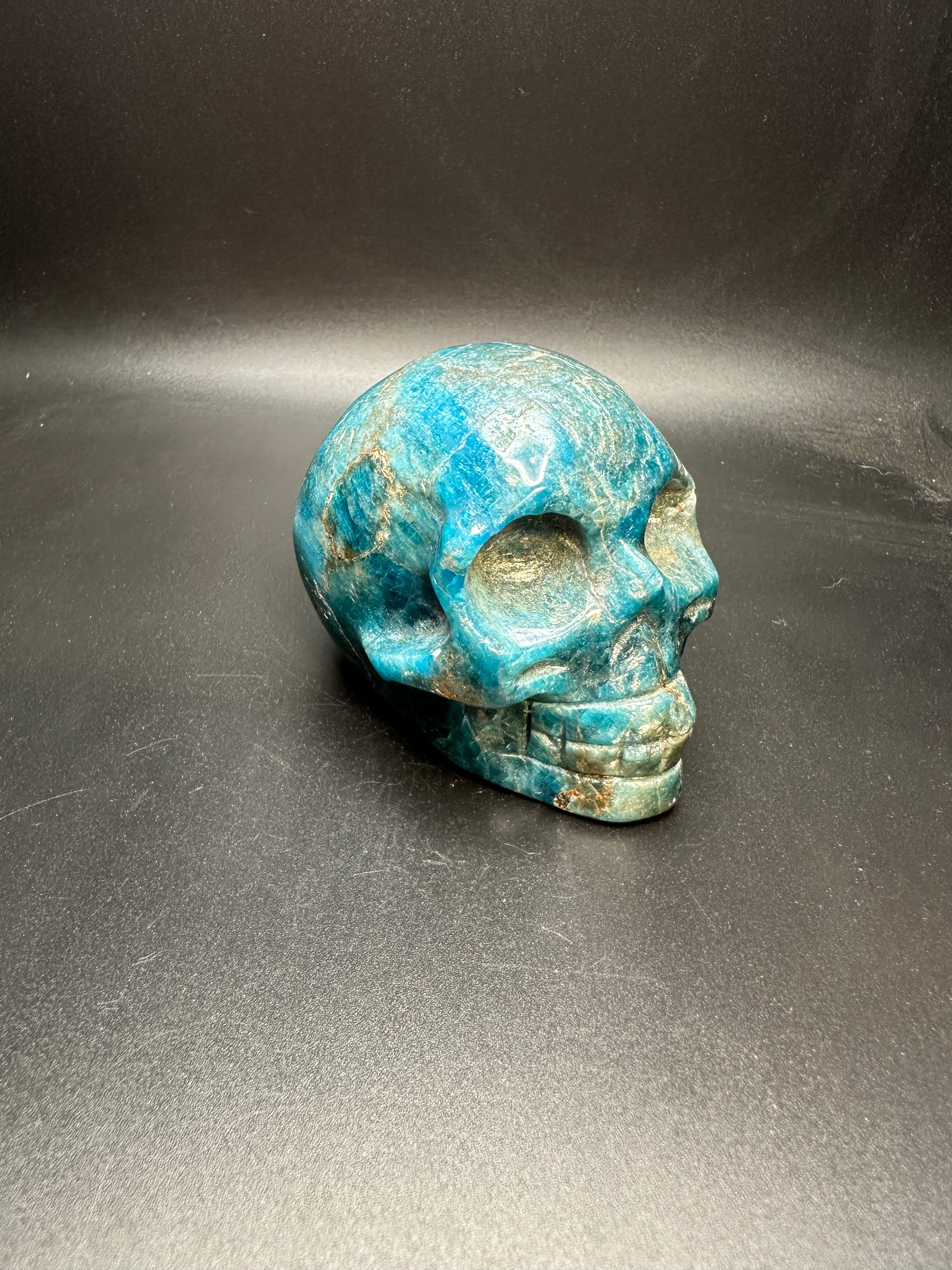 Blue apitite skull
