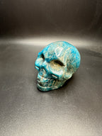 Blue apitite skull