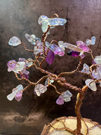 Rainbow Fluorite Tree of Life
