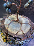 Florescent Sodalite (yooperlite) Tree of Life 