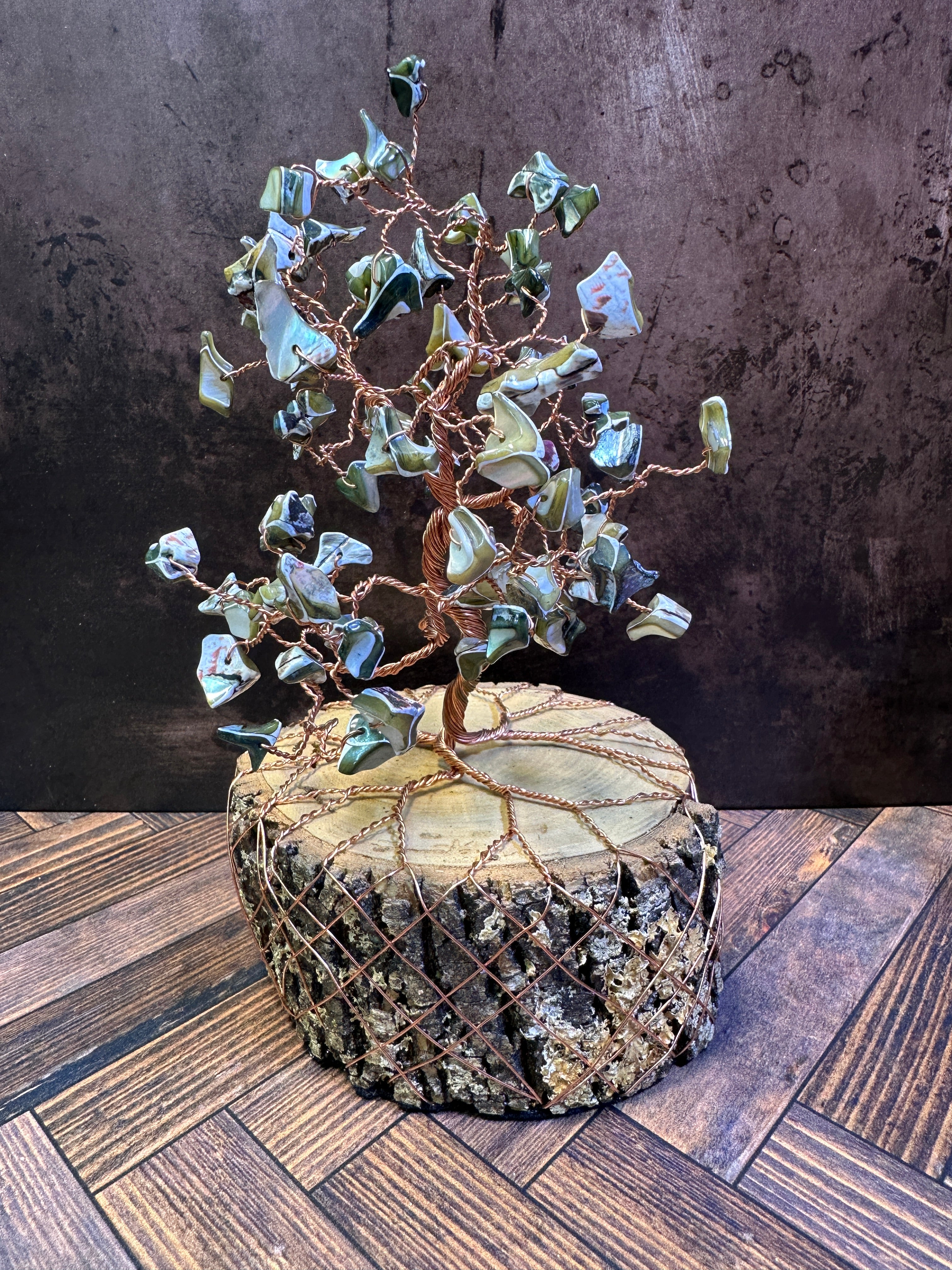 River Shell Tree of Life