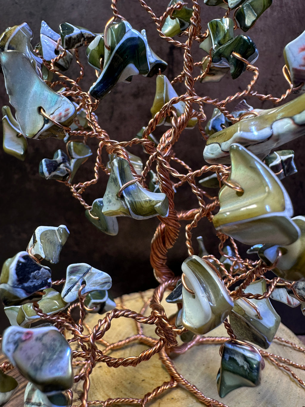 River Shell Tree of Life