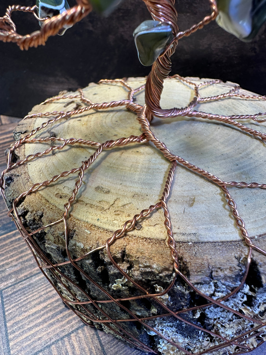 River Shell Tree of Life