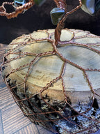 River Shell Tree of Life