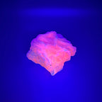 Calcite UV Reactive Mineral Specimen
