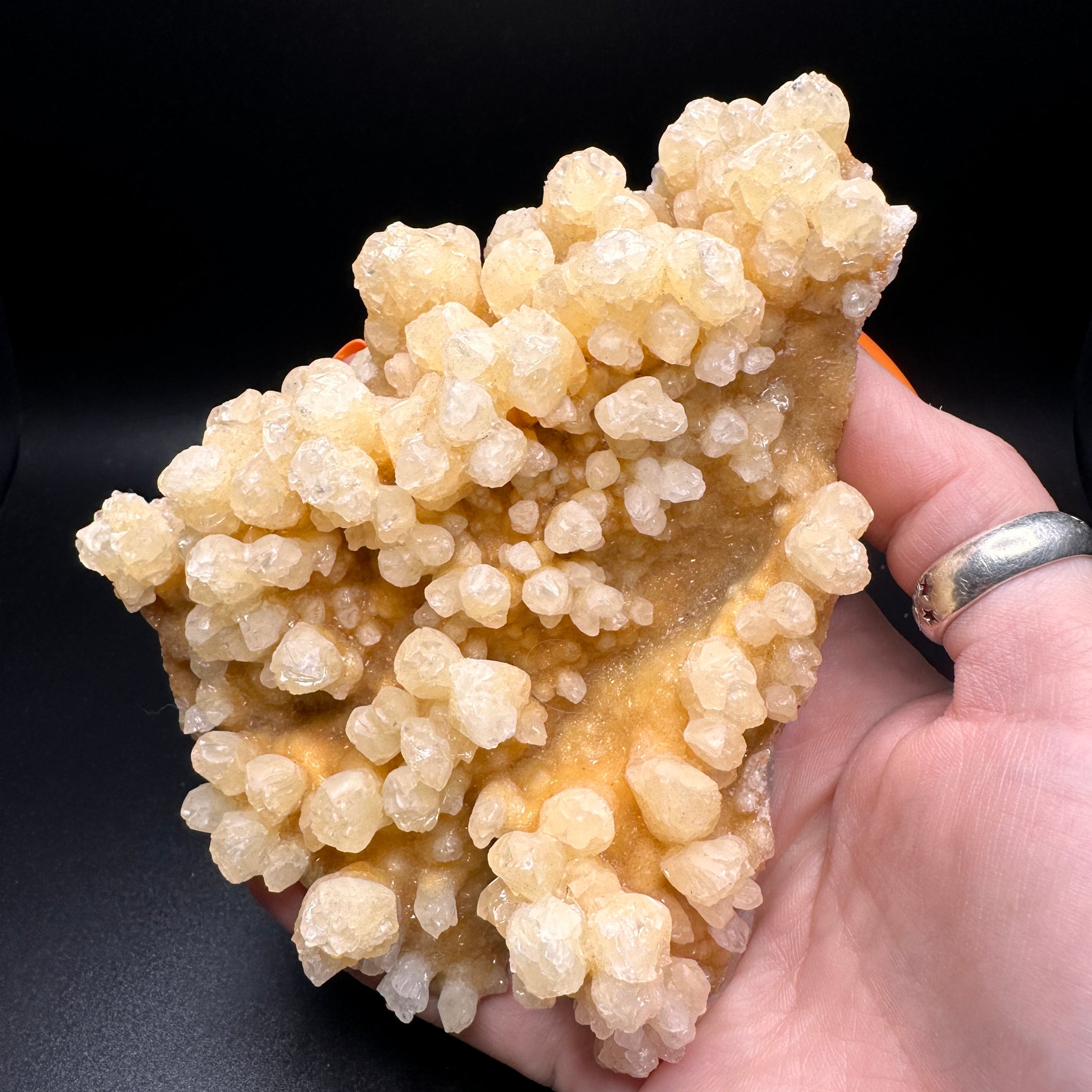 アラゴナイト「Cave Calcite 」 レア Cave Calcite (aragonite) For Sale | Fossilsplus.com/Pangaea