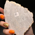 Cave Calcite Aragonite Raw Mineral Specimen UV Reactive