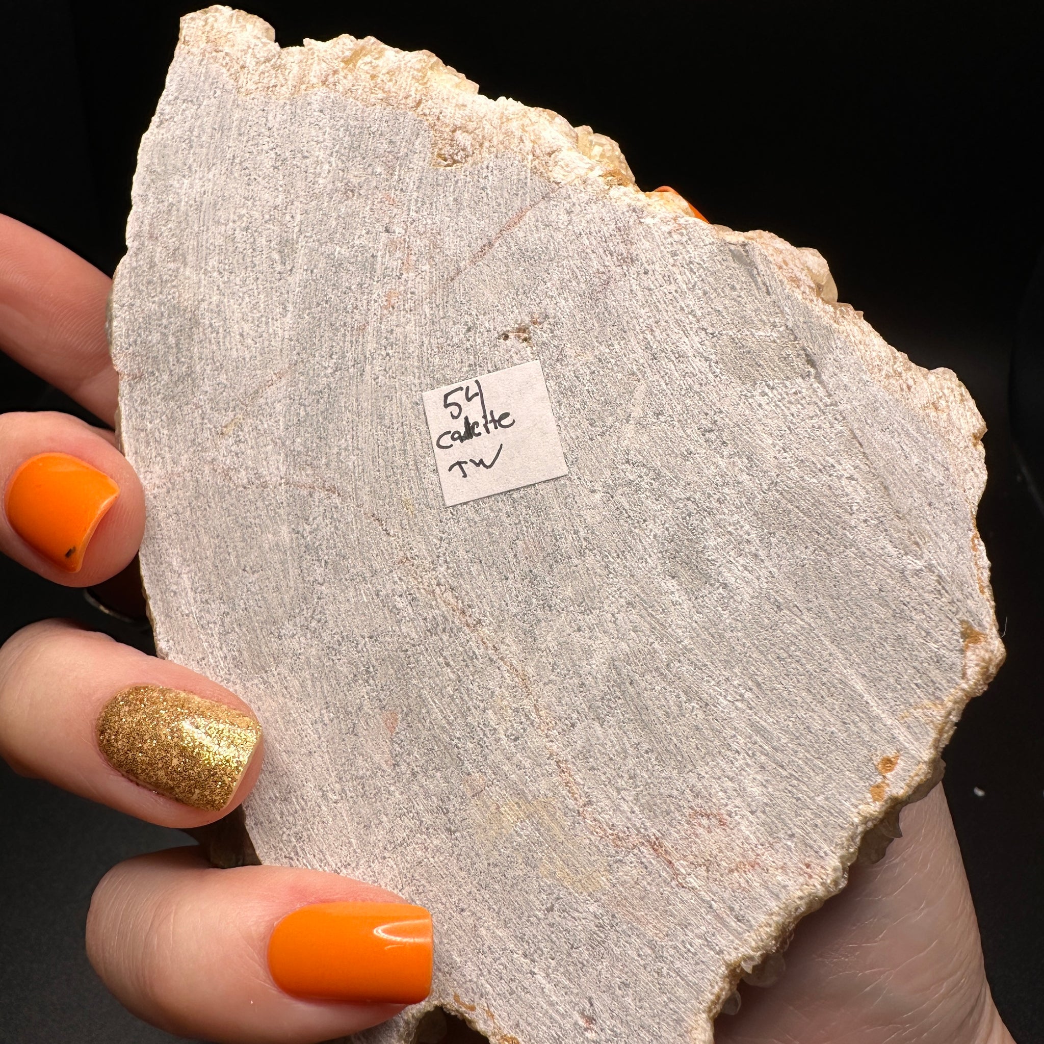 アラゴナイト「Cave Calcite 」 レア Cave Calcite (aragonite) For Sale | Fossilsplus.com/Pangaea
