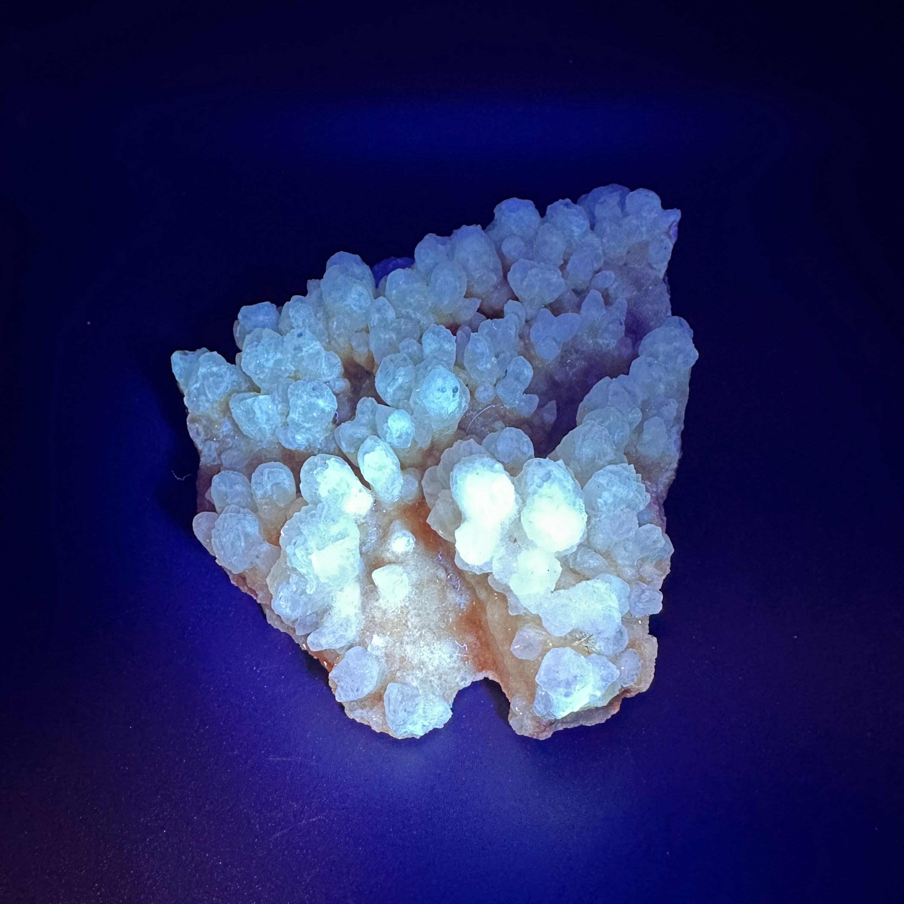 Cave Calcite Aragonite Raw Mineral Specimen UV Reactive