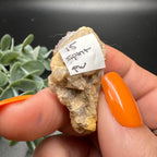 Spirit Quartz Cluster Mineral Specimen