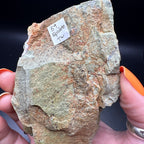 Raw Epidote Mineral Specimen