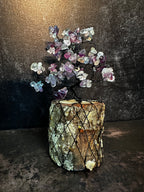 Rainbow Fluorite Tree of Life