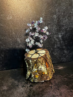 Rainbow Fluorite Tree of Life