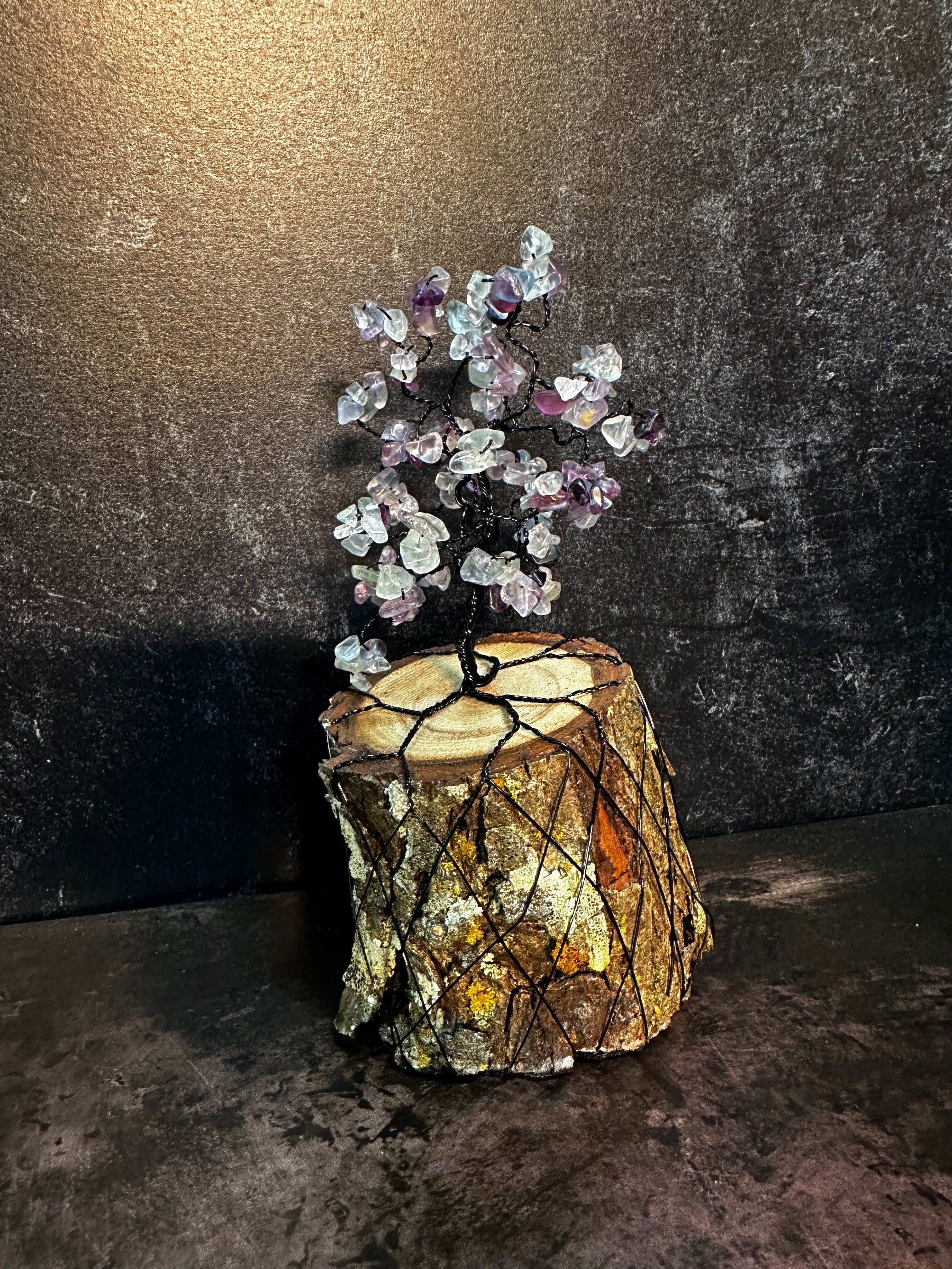 Rainbow Fluorite Tree of Life