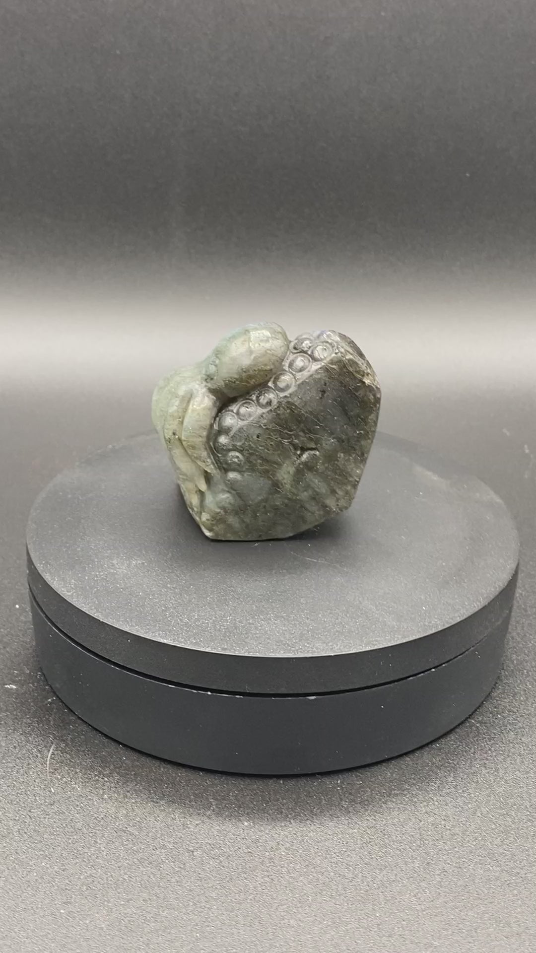 Labradorite Octopus Carving