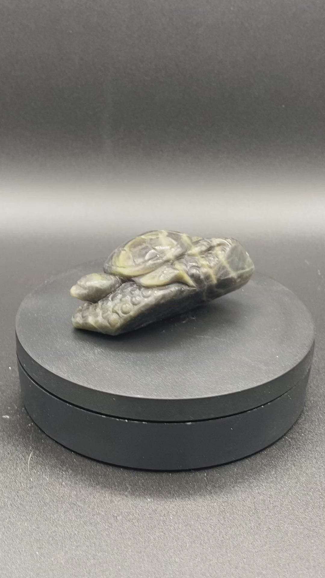 Labradorite Turtle Carving