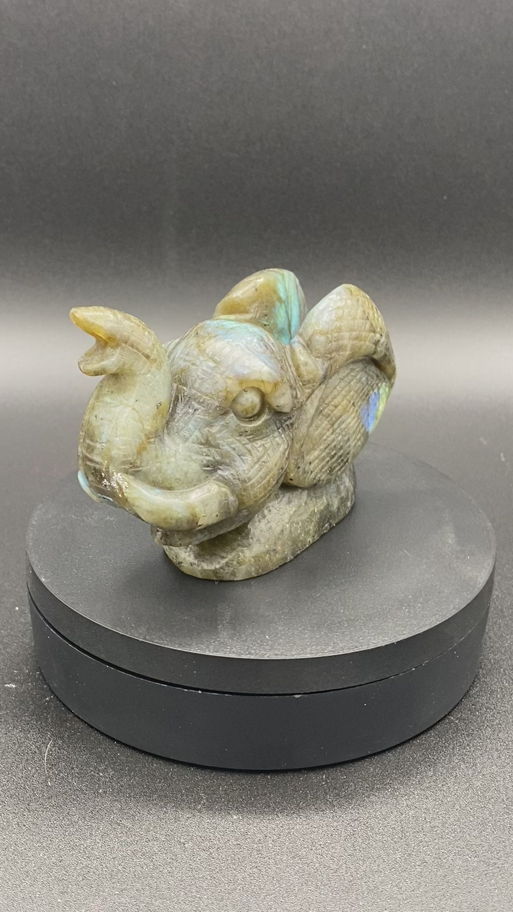 Elephant carving in Labradorite