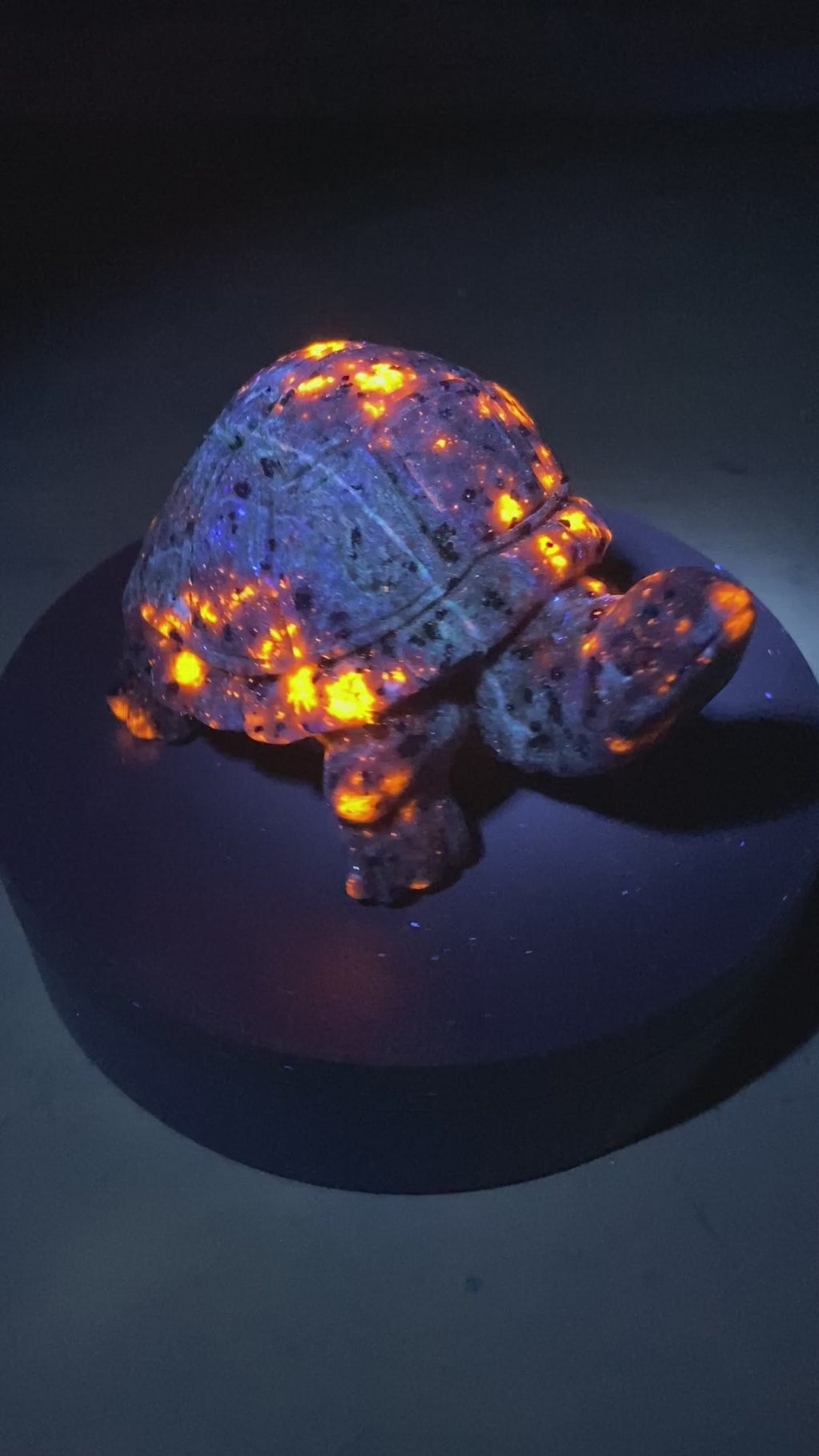 Glow Rock Turtle Carving