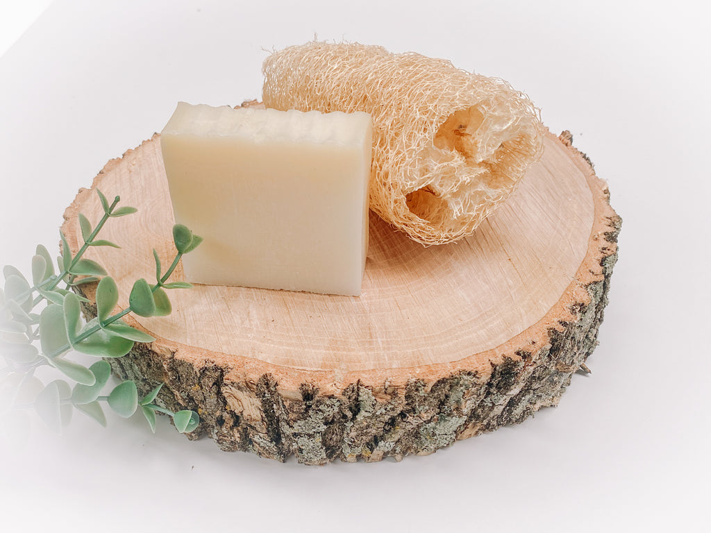 Natural Luffa (Loofah) Sponge