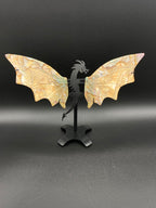 Ocean Jasper Dragon Wings with Stand                 (C)