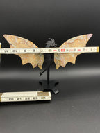 Ocean Jasper Dragon Wings with Stand                 (C)