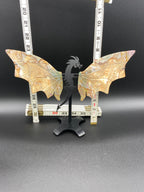 Ocean Jasper Dragon Wings with Stand                 (C)