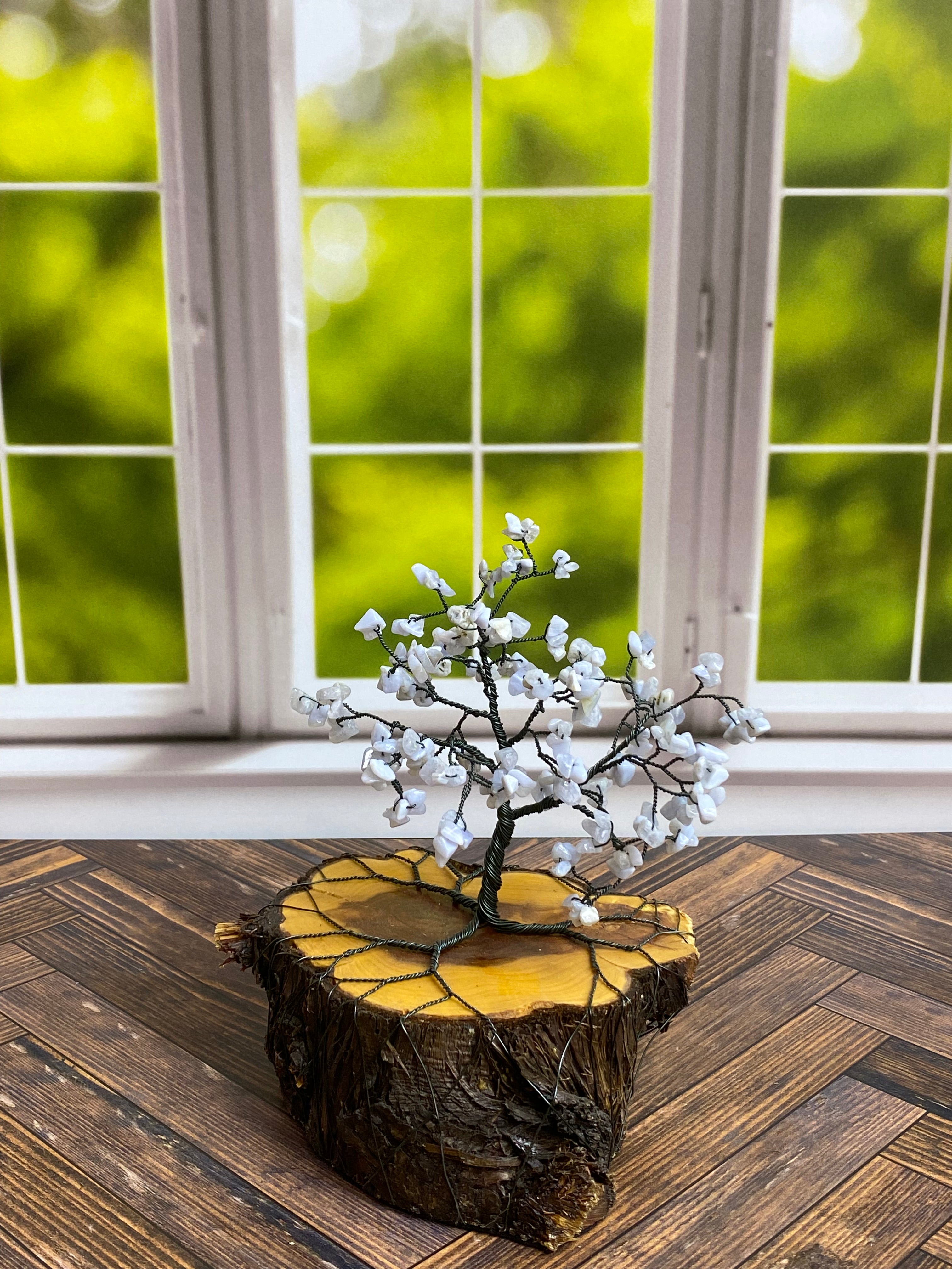 Blue Lace Agate Wire Tree on Cedar