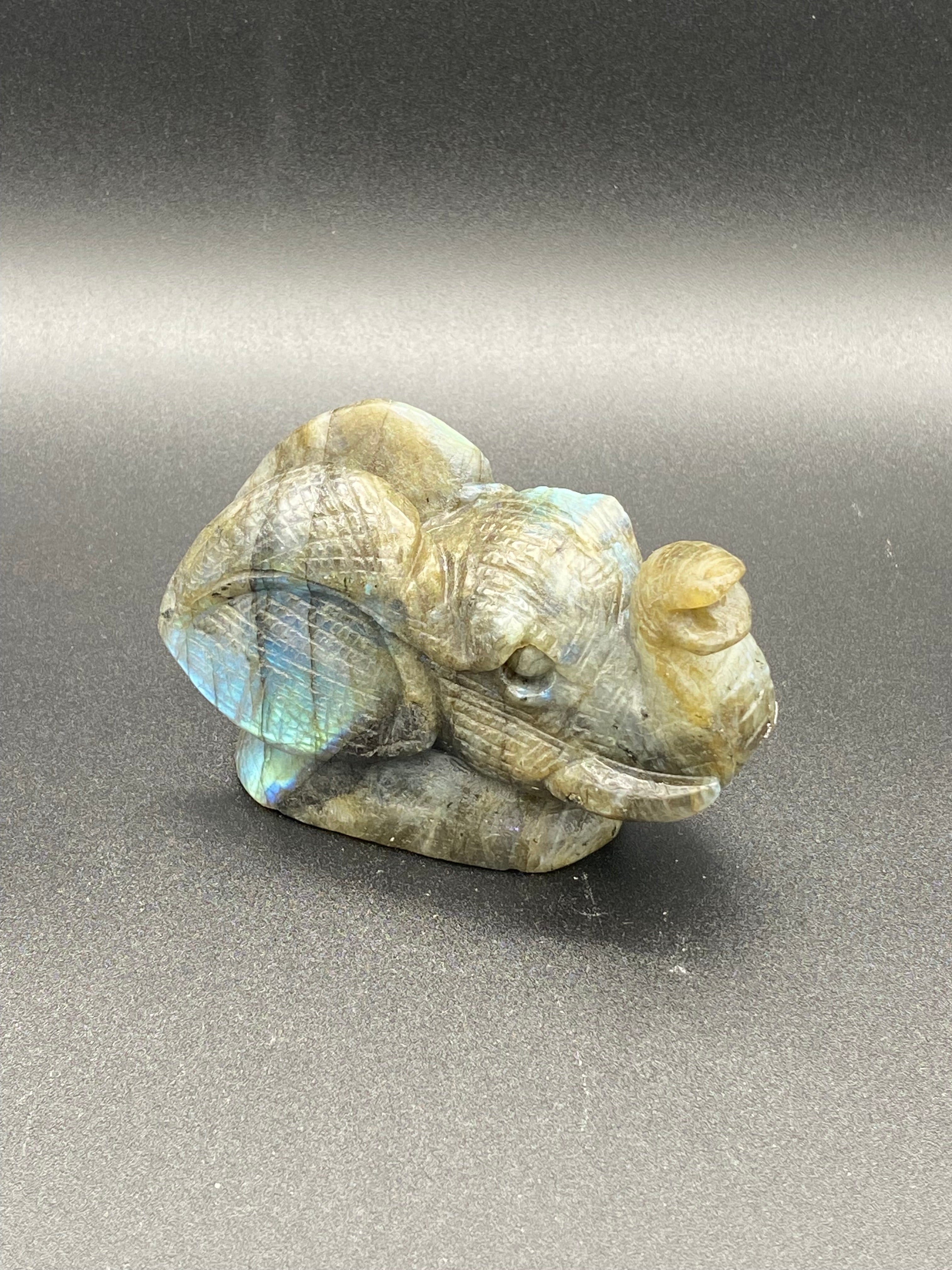 Elephant carving in Labradorite