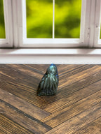 Labradorite Octopus Carving