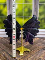 Purple Fluorite Butterfly Wings with Stand