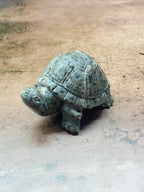 Glow Rock Turtle Carving